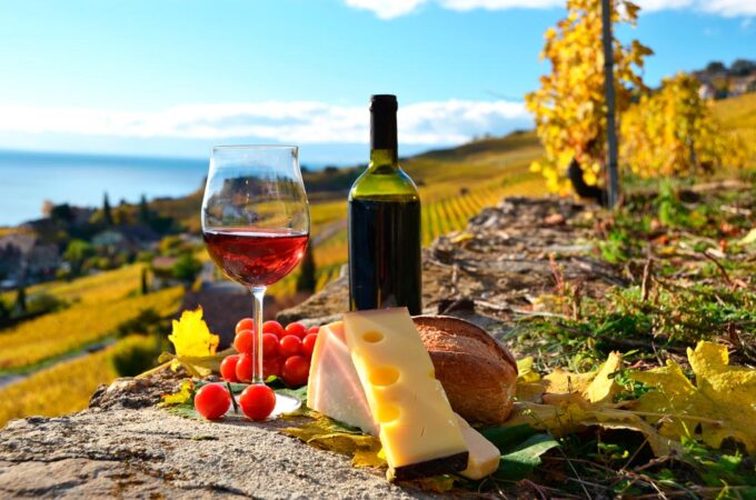 RECORRIDOS COMPARTIDOS