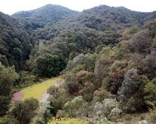 paisaje2